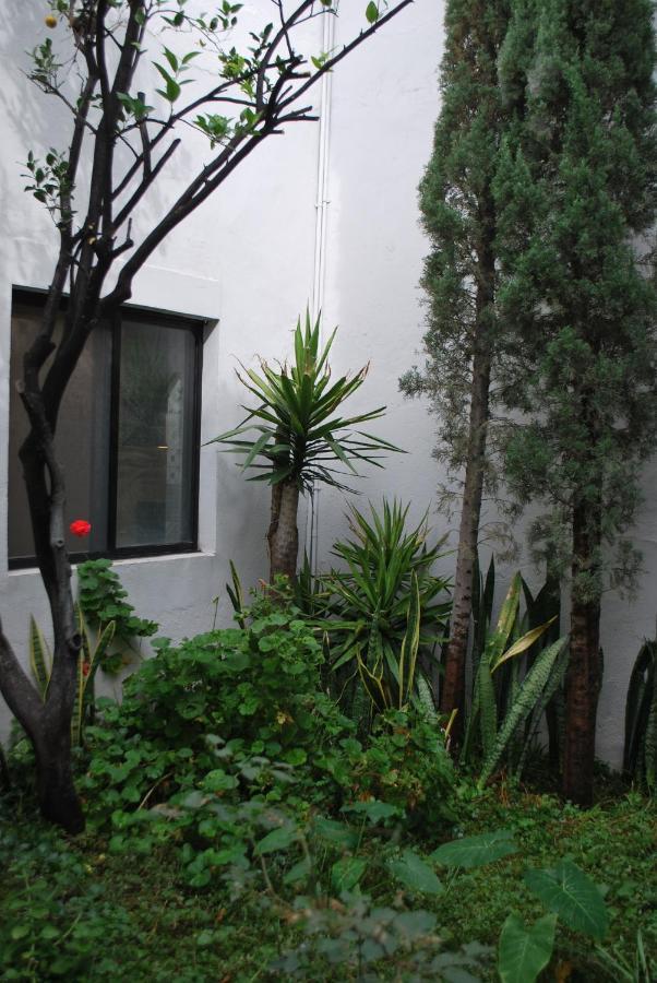 Casa En Centro Historico Villa San Luis Potosí Eksteriør bilde